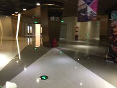 -上影国际影城(成都银泰LUXE店)