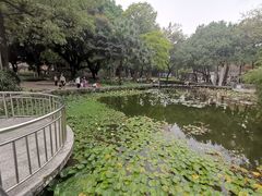 -垂虹公园
