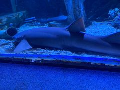 -太平洋海底世界