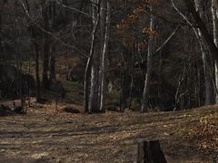 -香炉山国家森林公园