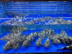 -徐记海鲜·宴会(大唐西市|丰庆店)