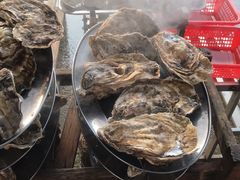 -蚝专家(北滘店)