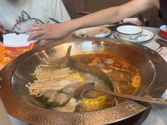 -古乐牛香·鲜牛肉牛杂火锅(新区店)