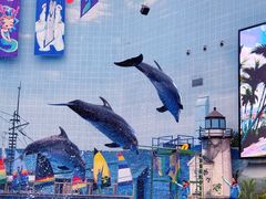 -海合安天津极地海洋公园