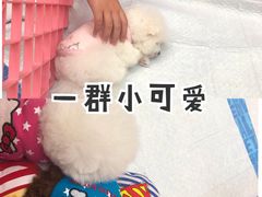 -万达广场(北京槐房店)
