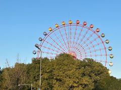 -成都南湖公园