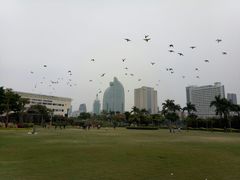 鸽子广场-白鹭洲公园