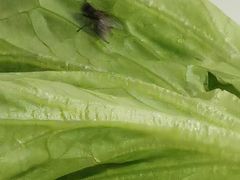 -千家粗粮王(MOMOPARK店)