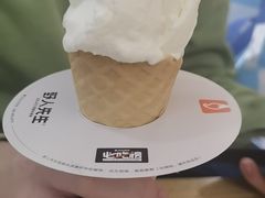 -野人先生Gelato(上海长宁龙之梦店)