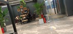 -藤野造型·专业烫染店