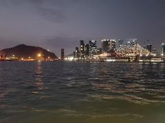 -招商蛇口邮轮母港(观光客运)