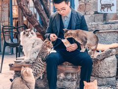 -喵屿·大理花园猫咖