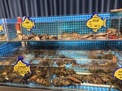 -韩记海鲜饺子旗舰店(红海新区店)