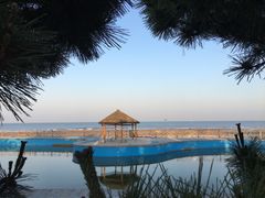 -日照海滨国家森林公园