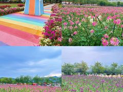 -盈香心动乐园