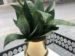 景观位-OT另茶(上海幸福里店)