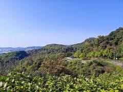 -火炉山森林公园