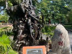 -大槐树寻根祭祖园