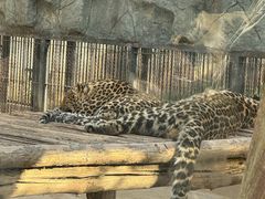 -石家庄市动物园