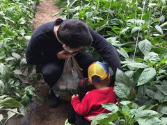 -万源龙顺度假庄园生态观光园