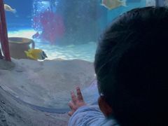 -沈阳海洋探索中心