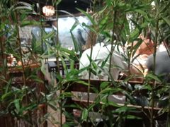 -功夫小龙虾·烧烤·江湖菜(金沙洲店)