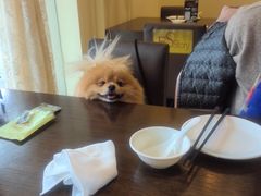 -東城故事·尋找姆媽的味道(玉兰路店)