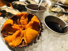 加拿大海胆-普朗姆生蚝吧(原建国路店)