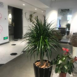 点击看大图 -MOKA HAIR SALON 烫染造型