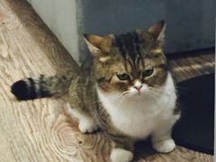 -小时光咖啡馆(开森度假森林店)