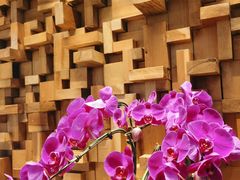 -园里火锅(仁和新城店)