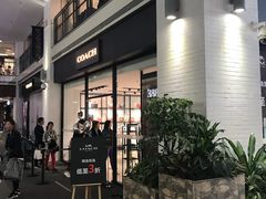 -COACH蔻驰(盛京奥特莱斯店)