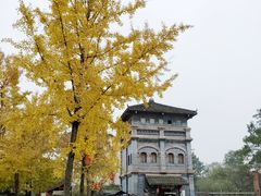 -周血旺老店