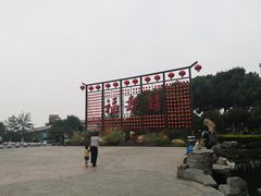 -合肥滨湖国家森林公园