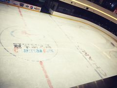 大连百年港湾冠军溜冰场-冠军冰场CHAMPION RINK(百年港湾奥特莱斯店)