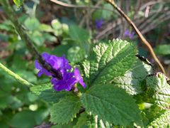 -龙坑生态保护区