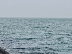 -悦海公园