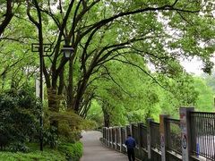 -杭州半山国家森林公园