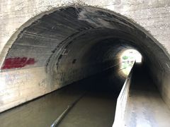 -白水寺森林公园