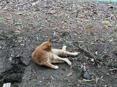 -扬州大运河文化旅游度假区·盆景园