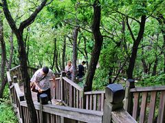 -帽儿山国家森林公园