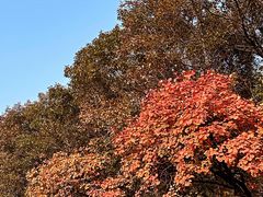 -北京西山国家森林公园