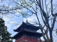 -堤角公园