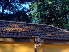 -颐和路民国时期公馆风貌区