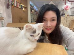 -楼上猫咖(罗湖店)