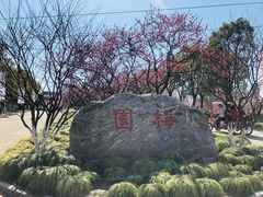 -上海海湾国家森林公园