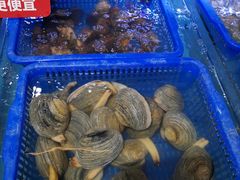 -必点海鲜·鲅鱼水饺(鞍山西道店)