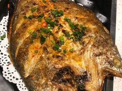 -九府羊·鲜羊火锅·烤串(新华路店)