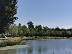 -东郊湿地公园