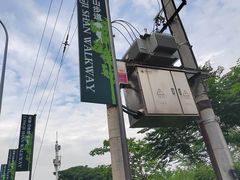 -南山植物园